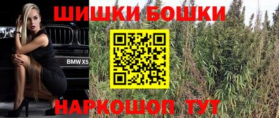альфа пвп Новокубанск