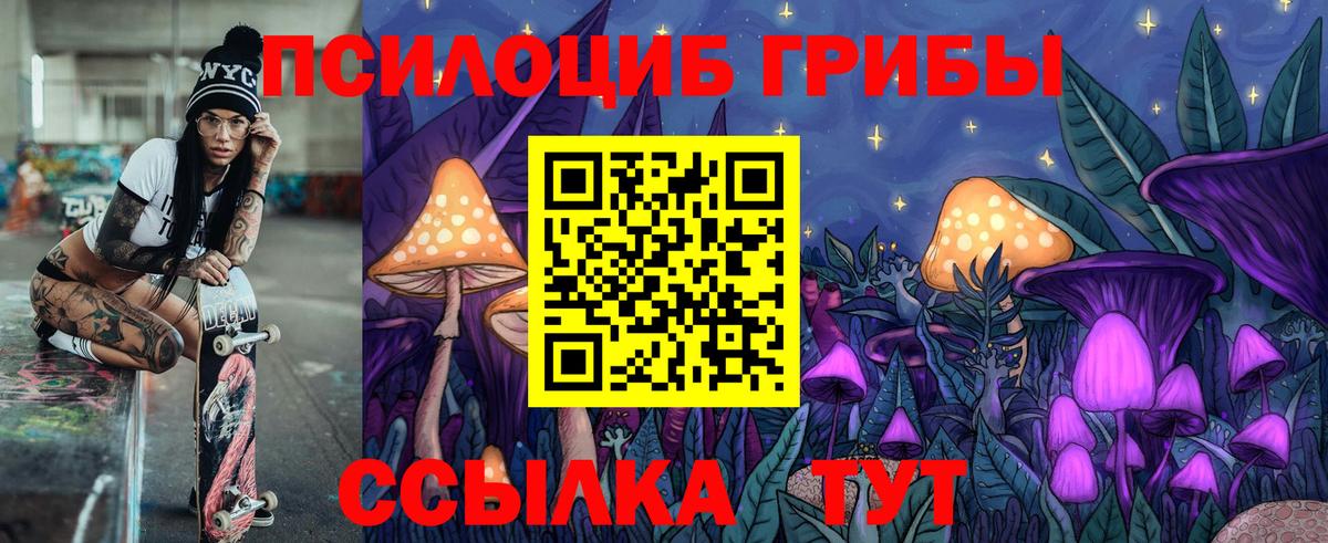 Псилоцибиновые грибы мицелий Семилуки